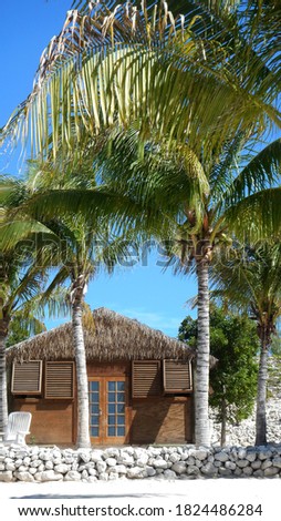 Beach house with palm trees in front                