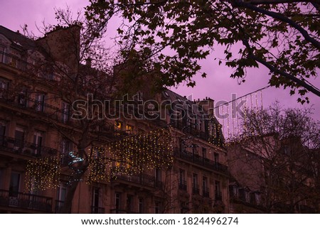 Parisian street with typical buildings and Christmas lights festive garland hanging from trees at sunset. Winter holidays travel in France background.