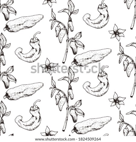 Hand drawn vector seamless pattern of spices and herbs. Medicinal, cosmetic, culinary plants. Seeds, branches, flowers and leaves. Different types of condiment.