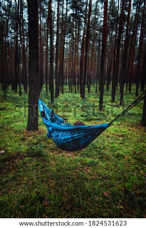 Photographer man hold in hands mobile phone typing message on smartphone. Relax in Hammocks on trees in the forest. Fog morning in the forest. Many hammocks. Rest outdoor concept.