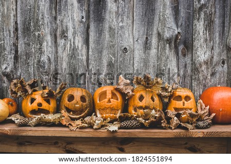 fancy halloween pumpkins at the autumn celebration in the village