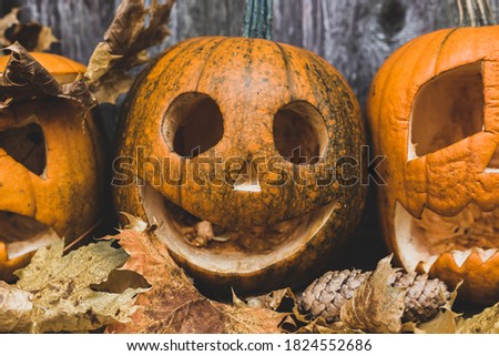 Scary Village Halloween Autumn Pumpkins