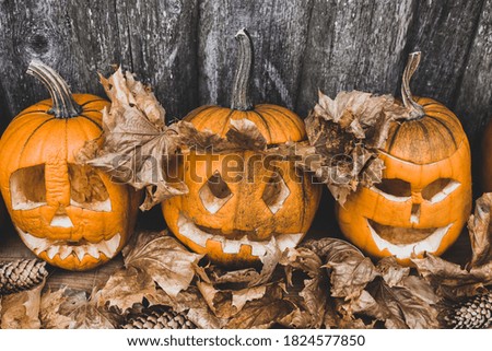 Halloween design with pumpkins in autumn