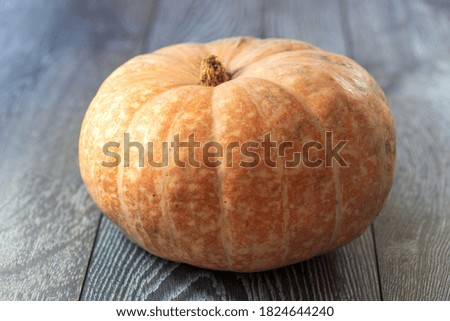 Close-up pumpkin on a wooden background. The concept of a rich harvest, organic products, vegetables. Healthy lifestyle and proper nutrition. Selective focus, shallow depth of field. Ukraine, Europe.