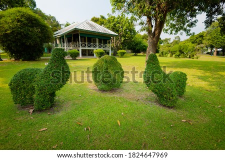 Green lawn and Green background in the park.
