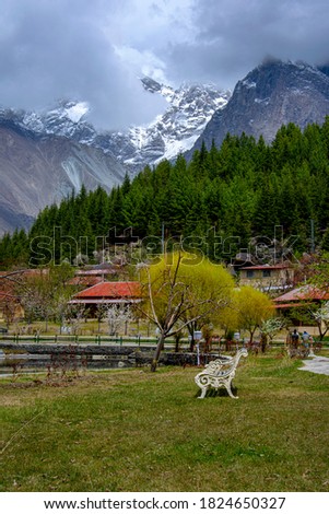 landscape photography of cherry blossom and apricot blossom in northern areas 