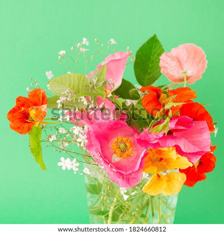 composition of bright summer flowers on a green background