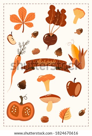 Autumn set hand drawn autumn elements vegetables pumpkin ribbon pine cone acorn carrot beet. 