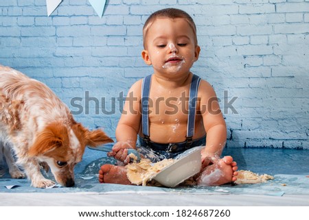 Party for one year baby boy with a set composed of brick wallpaper and pancakes. Pet puppy eats the pancakes as well.