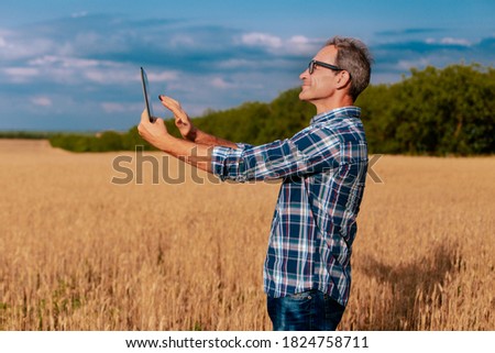 Senior farmer standing in a wheat field taking pictures with the tablet and examining crop