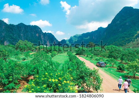 Switzerland in Thailand, the beautiful mountain in small local city in Uthai Thani.
