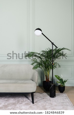 Vertical photo of modern interior design in contemporary apartment with comfort sofa, flooring lampshade and green house plants in living room against copy space wall on background