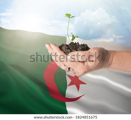 Algeria growth and new beginning. Green renewable energy and ecology concept.