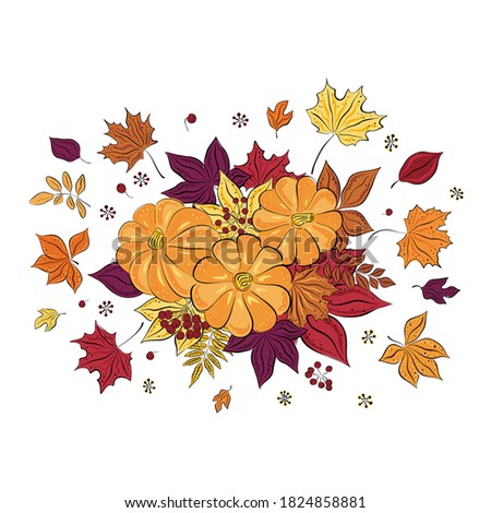 Vector autumn leaves and pumpkins collage . Hand-drawn colored maple, birch, chestnut, rowan, ash on white background. Sketch. Cartoon. Doodle style.
