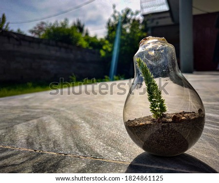 I took this pic by taking a light bulb and putting some sand in it, after that i placed a small plant into it and took the pic while keeping the sun in front.