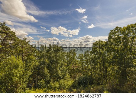 Beautiful nature landscape view with view Baltic sea. Tops of green forest trees on blue sky and white clouds background on sunny summer day.