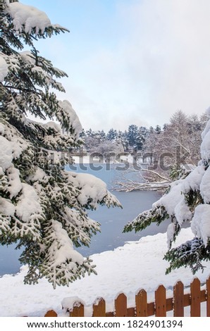 Beautiful winter landscape. Blue sky. Dark and light clouds. Ice-covered lake. Snow-covered forest on banks of frozen pond in city park. Selective focus. Copy space.