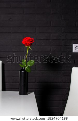 Beautiful red rose on a black brick wall background.