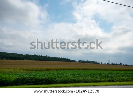 Looking Out the Car at a Huge Field Full of Fresh Crops Moving By
