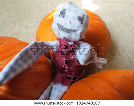 Cute scarecrow on the background of pumpkins
