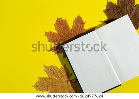 An open book and autumn leaves on yellow background. Concept of education. 