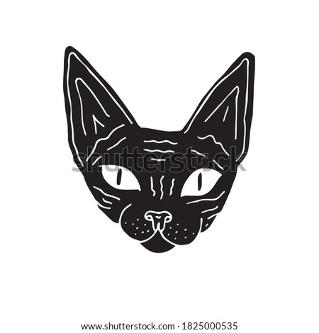 Vector black hand drawn doodle sketch Sphynx cat face isolated on white background