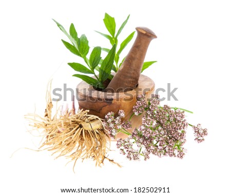 valerian (Valeriana officinalis) - rhizome, blossoms and leafs with mortar on white background Royalty-Free Stock Photo #182502911
