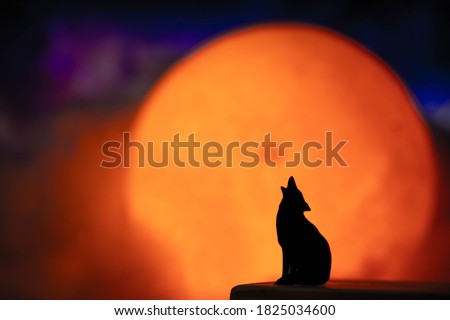 Wolves howl on the night of the supermoon occurs when the moon is at perigee — its closest point to Earth in its monthly orbit — around the same time as a full moon. The moon looks slightly larger.