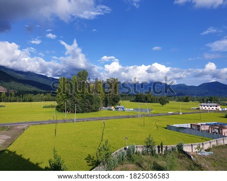 View of cloudy blue sky beautiful villages and rice fields of villagers in Indian states. Green and yellow golden colour crops in India are best destination for travellers.