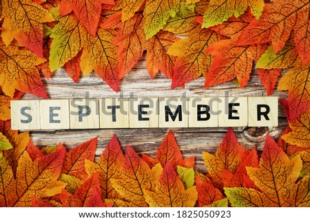 September alphabet letter with maple leaves frame on wooden background