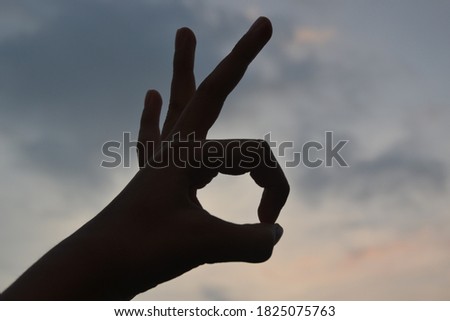 'Ok' sign made from hand in natural background.
