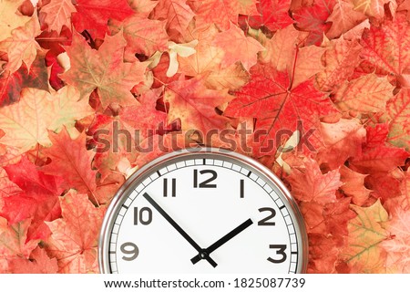Plain wall clock in the center of autumn orange red leaves and fall foliage. Two o'clock. copy space, time management or back to school. lunch time. Opening or closing hours. daylight saving time