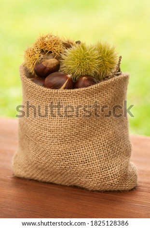 Bag with ripe chestnut  fruits on wooden table. Castanea sativa