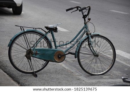 Portrait of the vintage bicycle 