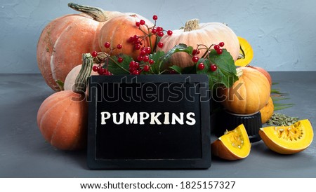 Assortment of raw pumpkins on grey background. Autumn harvest. Concept of Thanksgiving day or Halloween. Chalkboard