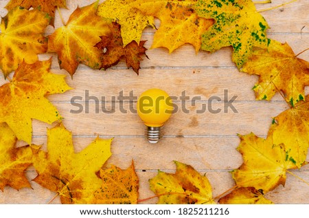 Yellow bulb and maple leaves on wooden table 