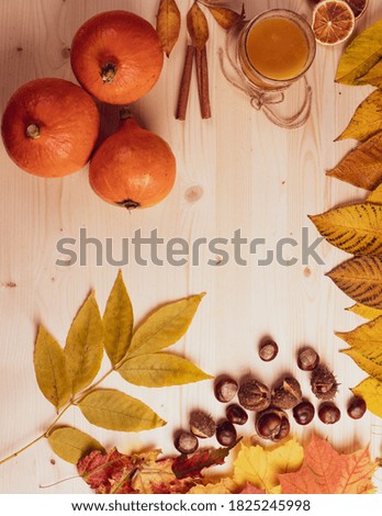 orange little pumpkins as seasonal autumn concept