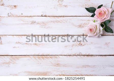 Holiday greeting background or wedding, birthday invitation with pink roses on the white painted wooden taible, copy space