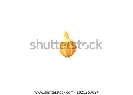 Single yellow miniature pumpkin isolated on white background