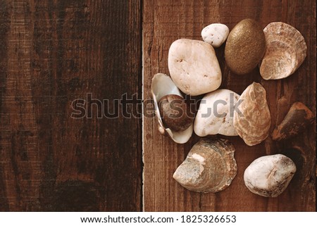 Close up decorative stones and seashells of different beige white gold shades on a blurred brown wooden table. Natural material. Top view. Copy space