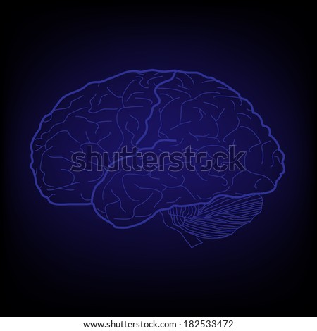 illustration of brain  