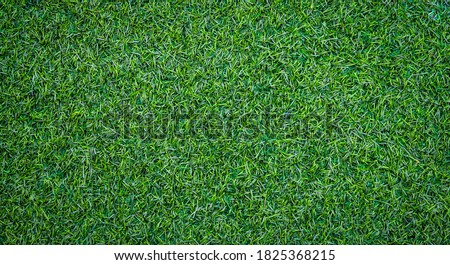 Artificial green grass texture can be use as background