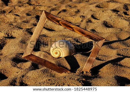 Seashell in a photo frame on a sandy beach