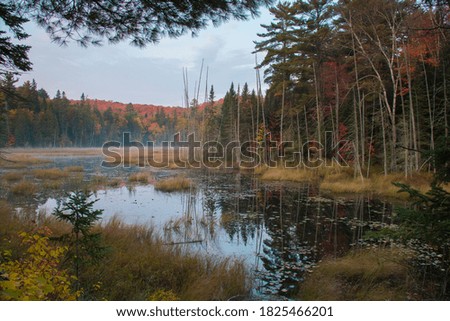 autumn scene by park lake