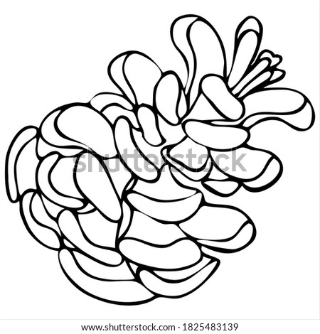 pine cone, vector element in doodle style, coloring book