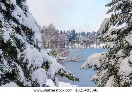 Beautiful winter landscape. Blue sky. Dark and light clouds. Ice-covered lake. Snow-covered forest on banks of frozen pond in city park. Selective focus. Copy space.