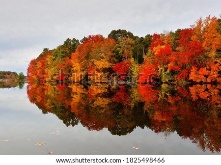 Beautiful New England Fall Foliage with reflections on a cloudy day, Boston Massachusetts.