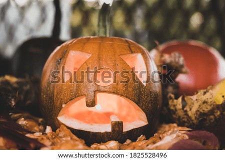 
carved funny pumpkin lantern, attribute of the holiday halloween
