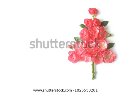 Christmas tree creative of flowers pink roses isolated on a white background. The concept of an flowers Christmas tree and copy space.