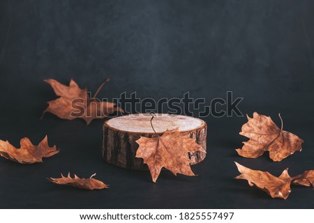 Wooden podium or stand for product showcase with dried leaves on grey stone background, dark still life Royalty-Free Stock Photo #1825557497